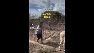 Donkey run