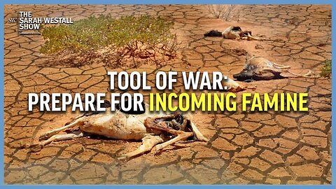 INCOMING FAMINE, FOOD AS A WEAPON OF WAR W/ MARJORY WILDCRAFT