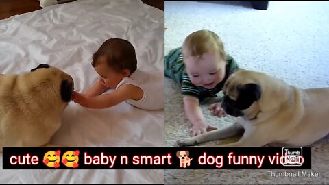 Cute baby n smart dogs 😊 fun