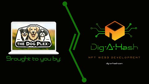 Blizzard's Journey at Dog Plex: NFT-Powered Pet Care Experience by Dig-A-Hash