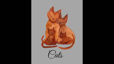 Meow Cuties: Funny Cat Memes and Kitten Tiki-Took Videos