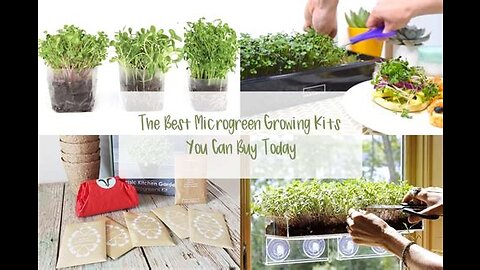 micro green