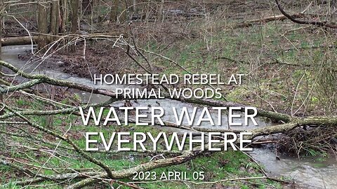 2023 April 05 Water Water Everywhere
