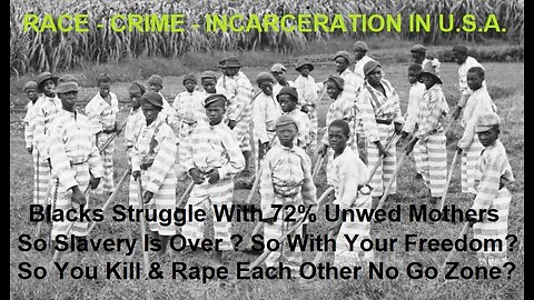 So Slavery Is Over ? So With Your Freedom ? You Kill & Rape Each Other No Go Zone