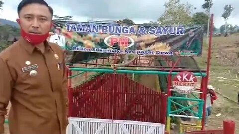 Camat Pagar Dewa Lampung Barat M Yones Sulap Belukar Jadi Taman Bunga yang Indah