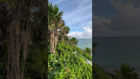 Playa Santa Fe, Tulum, México