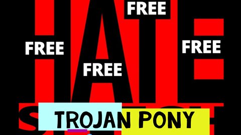 TROJAN PONY: Free Speech, Hate Speech and Disinformation