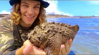 HUNTING WORLDS DEADLIEST FISH (STONEFISH) Pt.2