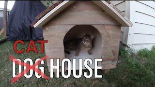 Cat House Build