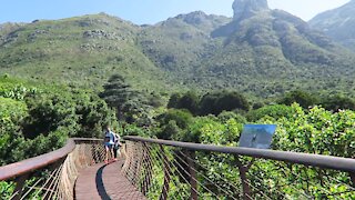 SOUTH AFRICA - Cape Town - Kirstenbosch National Botanical Garden (Video) (R5q)