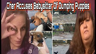 Cher From YT Channel Voices Behind The Wall Accuse Quinton Simon Babysitter Of Dumping Pups At Dump