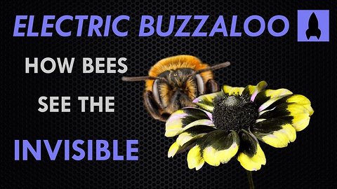 Electric Buzzaloo: How Bees See the Invisible