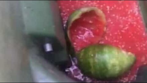 Watermelon explodes in woman's hands