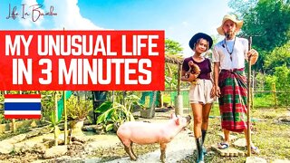My Unusual Life In Rural Thailand In 3 Minutes…