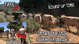 From City Slicker To Cowboy : My Very First Cattle Drive