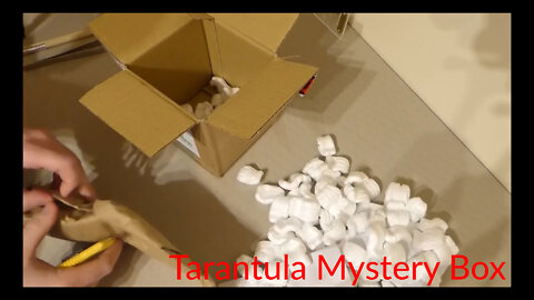 Tarantula Mystery Box - Accidental Squishing