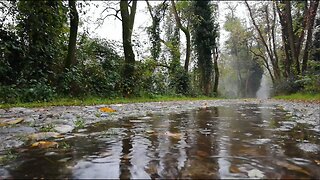 Soothing Rainfall