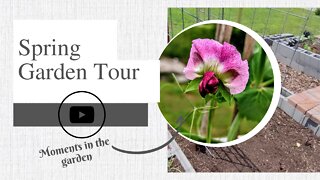 Spring Garden Tour | moments in the garden