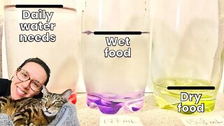 Is my cat drinking enough water?