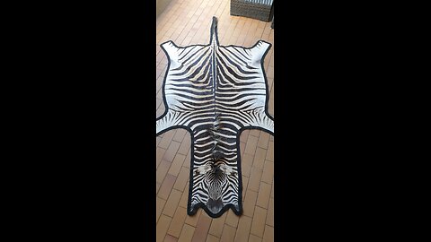 Zebra Hide Felted