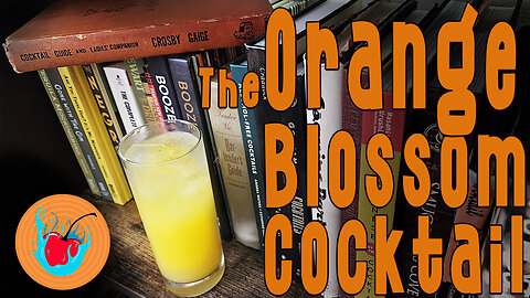The Orange Blossom Cocktail