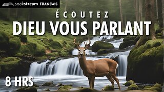 "Comme le cerf soupire devant les ruisseaux d'eau, ainsi mon âme a soif de toi."