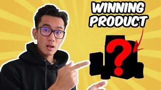 What Does A Winning Product Look Like? | Shopify Dropshipping Facebook Ads Analysis