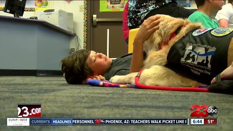 PLEDG program bringing students and dogs together