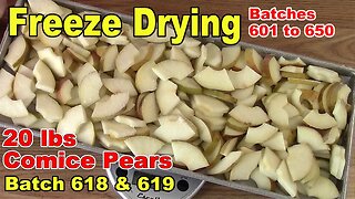 Freeze Drying 30 lbs of Harry & David Gift Pears - Batch 617 & 618