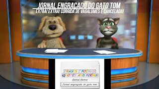 Jornal engraçado do gato tom: Corrida de vagalumes é cancelada! [Frases e Poemas]