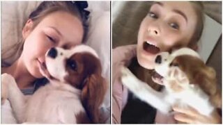 Den här hunden hatar att ta selfies med sin ägare