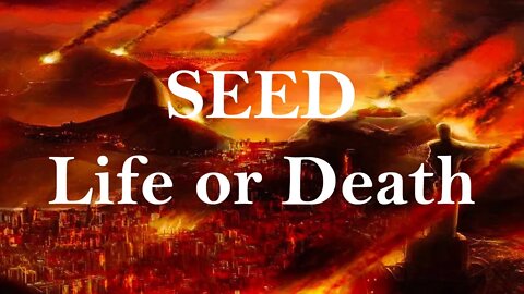 Seed - Life or Death