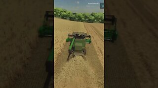 Harvesting Barley FS22 #shorts