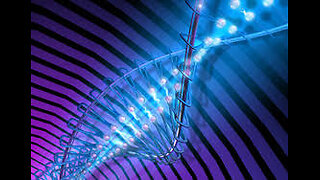 Synthetic Genome