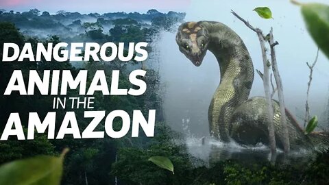 Dangerous Animals in the Amazon