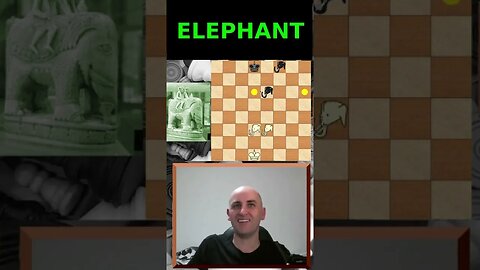 The Elephant - Top ten forgotten chess pieces! #10 (chess variants of history)