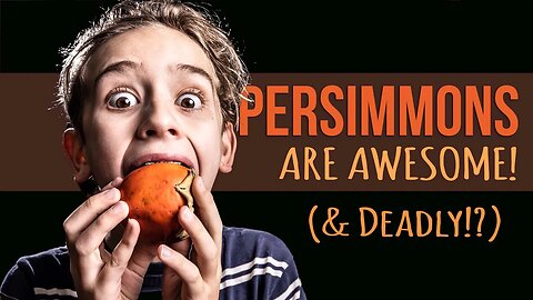 The Incredible (Inedibly Astringent) Persimmon: Know This First