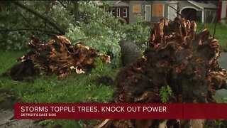 Storms topple trees, knock out power in Detroit