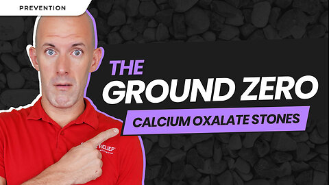 The GROUND ZERO for calcium-oxalate stones: Randall’s Plaque