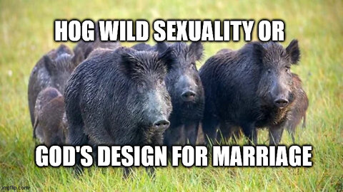 Hog Wild Sexuality: A Christians Response to a Polyamorous TikToker #tiktok #polyamory