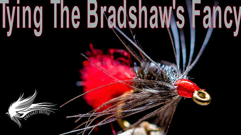 Tying The Bradshaw's Fancy - Dressed Irons