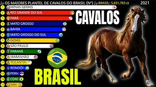 Os Maiores Rebanhos de Equinos (Cavalos) do Brasil