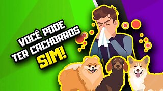 9 MELHORES RAÇAS DE CÃES pra pessoas com ALERGIAS | Dr. Edgard Gomes | Alimentação natural para Cães