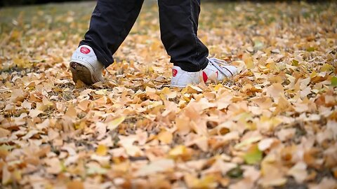 [10 HOURS] of Walking on Dry Leaves ASMR