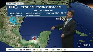 Tropical Storm Cristobal Update 6/3/20 8 AM