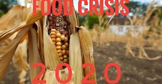 Food Crisis: The Coming Disaster