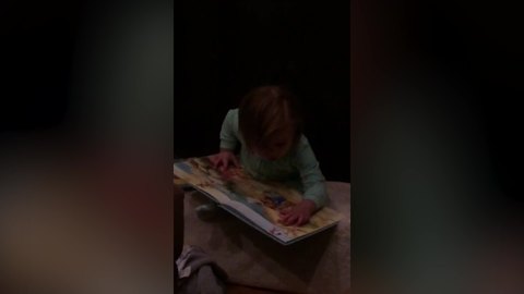 Adorable Little Girl Doesn't Want To Let Go Of The Book