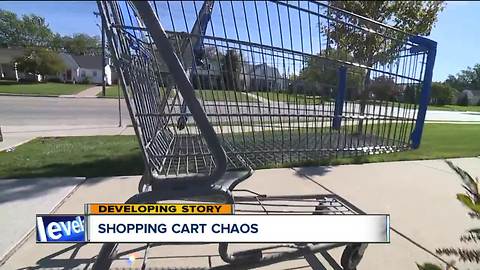 South Euclid council working to solve abandoned shopping cart clutter