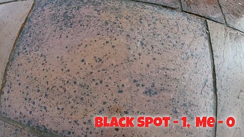 Indian Sandstone Patio INFESTED With BLACK SPOT, BEAT ME 😕...Only Just! Customer Was Still OVERJOYED