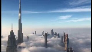 Up in the clouds: intense fog changes landscape in Dubai